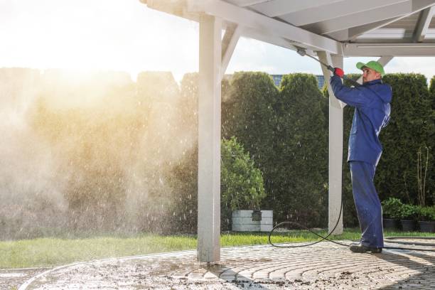 Animal Enclosure Cleaning in Sawgrass, FL
